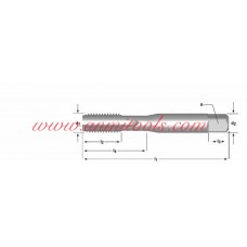 UNF Machine Tap Straight Flute Dormer E524